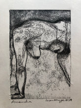 Load image into Gallery viewer, The Only Print in the World #24